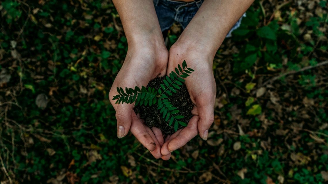 CEO consideram a sustentabilidade como uma oportunidade de crescimento