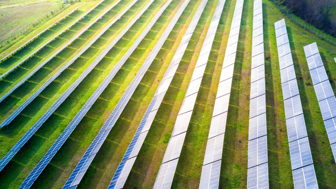 Apenas 21% das empresas apostam na tecnologia para reduzir pegada ambiental