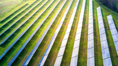 Apenas 21% das empresas apostam na tecnologia para reduzir pegada ambiental